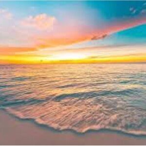 Meet your Posher, Sheila